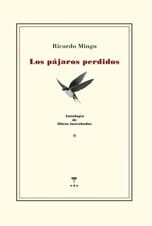 PÁJAROS PERDIDOS, LOS | 9791399062144 | MINGO SANTOS, RICARDO
