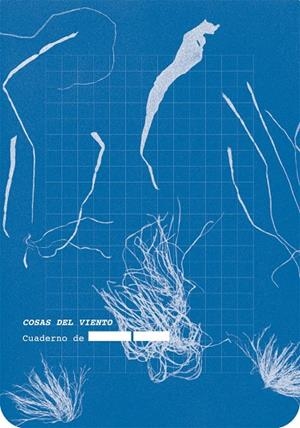 COSAS DEL VIENTO | 9788418690761 | ANÓNIMO