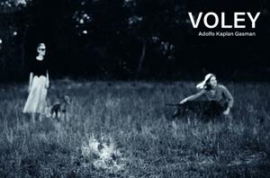 VÓLEY | 9788419539212 | KAPLAN GASMAN, ADOLF