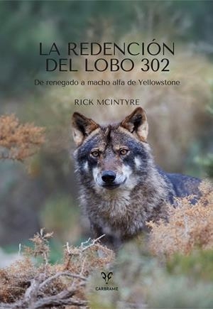 REDENCIÓN DEL LOBO 302, LA | 9788412949094 | MCINTYRE, RICK