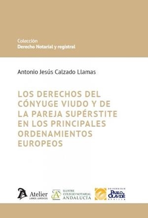 DERECHOS DEL CONYUGE VIUDO Y DE LA PAREJA supérstite en los principales ordenamientos europeos, LOS | 9791388096983 | CALZADO, ANTONIO JESUS