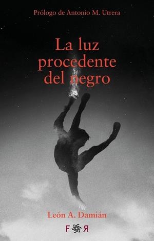 LUZ PROCEDENTE DEL NEGRO, LA | 9788412782882 | DAMIAN, LEON A.