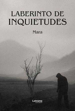 LABERINTO DE INQUIETUDES | 9791370294410 | MARA