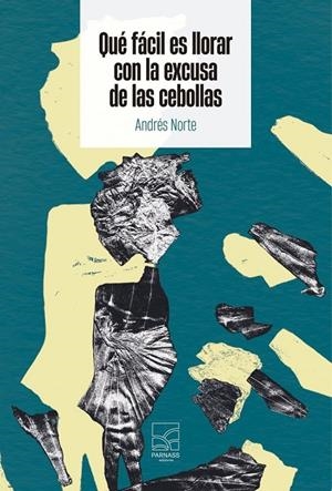 QUE FACIL ES LLORAR CON LA EXCUSA DE LAS CEBOLLAS | 9791399174465 | NORTE, ANDRÉS