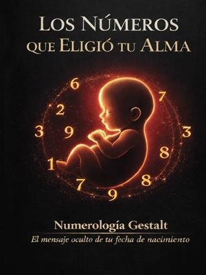 NÚMEROS QUE ELIGIÓ TU ALMA, LOS | 9791399197006 | PIZARRO, GEMMA