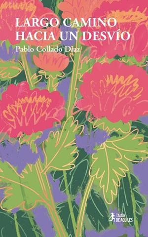 LARGO CAMINO HACIA UN DESVÍO | 9791387999285 | COLLADO DIAZ, PABLO