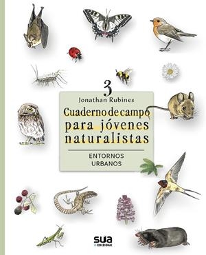 CUADERNO DE CAMPO PARA JOVENES NATURALISTAS. ENTORNOS URBANOS | 9788482169620 | RUBINES, JONATHAN