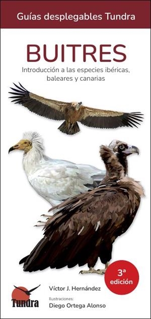 BUITRES -  GUIAS DESPLEGABLES TUNDRA (3A EDICIÓN) | 9791387759315 | HERNÁNDEZ, VICTOR J.