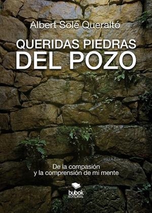QUERIDAS PIEDRAS DEL POZO | 9788468595344 | SOLÉ QUERALTO, ALBERT