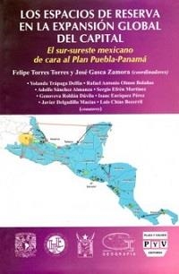 ESPACIOS DE RESERVA EN LA EXPANSION GLOBAL DEL CAPITAL | 9789707224865 | TORRES TORRES, FELIPE