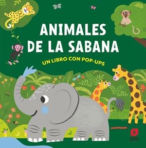 ANIMALES DE LA SABANA | 9788410552029 | VARIOS AUTORES,