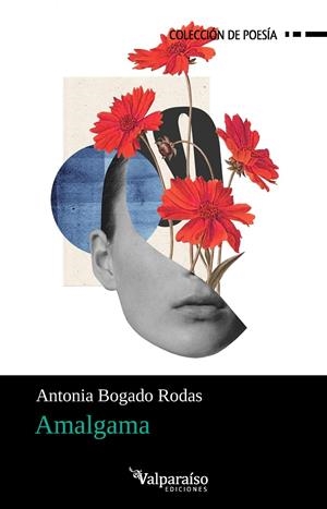 AMALGAMA | 9791388007842 | BOGADO RODAS, ANTONIA