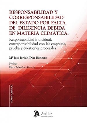 RESPONSABILIDAD Y CORRESPONSABILIDAD DEL ESTADO POR FALTA DE DILIGENCIA DEBIDA EN MATERIA CLIMÁTICA | 9791388250279 | JORDA, MARIA JOSÉ