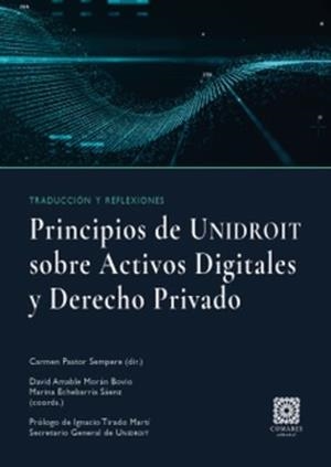 PRINCIPIOS DE UNIDROIT SOBRE LOS ACTIVOS DIGITALES Y DERECHO PRIVADO | 9791370330118 | PASTOR, CARMEN
