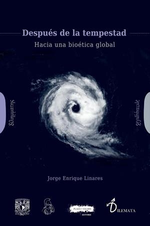 DESPUÉS DE LA TEMPESTAD | 9791387880149 | LINARES, JORGE ENRIQUE