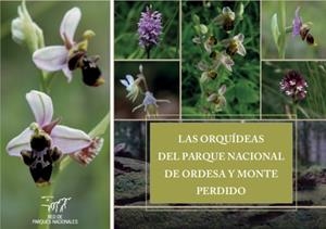 ORQUÍDEAS DEL PARQUE NACIONAL DE ORDESA Y MONTE PERDIDO, LAS | 9788480143202 | ANDRÉS GIL, ELISA
