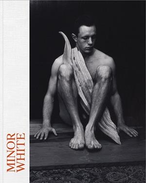MINOR WHITE | 9788498449303 | DE LUCAS GONZALEZ-VALLES, LUCIA / GOLLONET CARNICERO, CARLOS