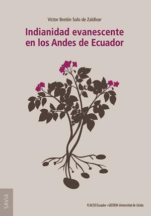 INDIANIDAD EVANESCENTE EN LOS ANDES DE ECUADOR | 9788491443100 | BRETÓN SOLO DE ZALDÍVAR, VÍCTOR