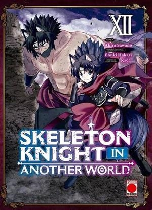 SKELETON KNIGHT IN ANOTHER WORLD 12 | 9791370134198 | SAWANO, AKIRA / HAKARI, ENNKI