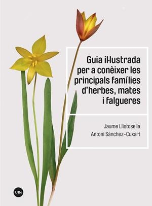 GUIA IL·LUSTRADA PER A CONÈIXER LES PRINCIPALS FAMÍLIES D’HERBES, MATES I FALGUERES | 9788410502192 | LLISTOSELLA, JAUME