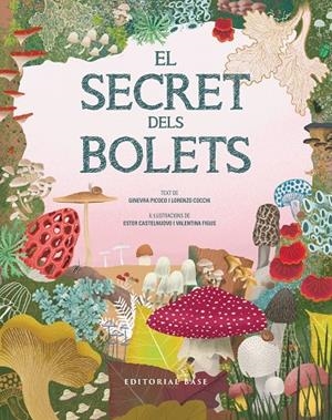 SECRET DELS BOLETS, EL | 9791387728502 | PICOCO, GINEVRA / COCCHI, LORENZO