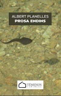PROSA ENDINS | 9791399194517 | PLANELLES I VELLVÉ, ALBERT