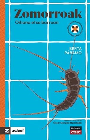 ZOMORROAK : OIHANA ETXE BARRUAN | 9788400112707 | PÁRAMO, BERTA