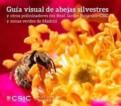 GUÍA VISUAL DE ABEJAS SILVESTRES Y OTROS POLINIZADORES DEL REAL JARDÍN BOTÁNICO | 9788400114800 | JIMÉNEZ FERNÁNDEZ, INÉS / MARTÍN GONZÁLEZ, JAVIER / PASCUAL HERGUETA, JOSÉ IGNACIO
