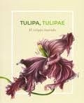 TULIPA TULIPAE : EL TULIPÁN ILUSTRADO | 9788400103163