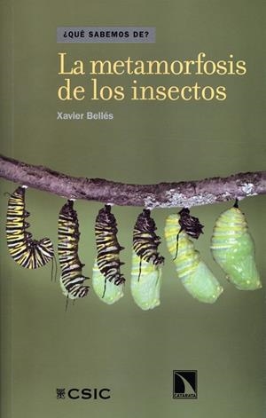 LA METAMORFOSIS DE LOS INSECTOS | 9788400090883 | BELLÉS I ROS, XAVIER