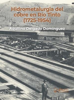 HIDROMETALURGIA DEL COBRE EN RÍO TINTO | 9788418984921 | DELGADO DOMÍNGUEZ, AQUILINO