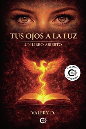 TUS OJOS A LA LUZ | 9791387763251 | D., VALERY