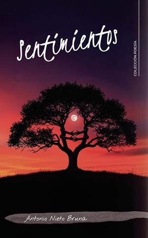 SENTIMIENTOS | 9791387984212 | NIETO BRUNA, ANTONIO