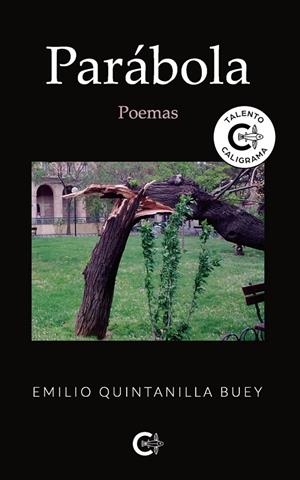 PARÁBOLA | 9791388114168 | QUINTANILLA BUEY, EMILIO