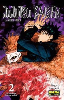 JUJUTSU KAISEN 02 (ED. EN CATALÀ) | 9788467985009 | AKUTAMI, GEGE