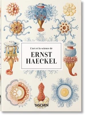 ART ET LA SCIENCE DE ERNST HAECKEL, L' (45TH ED.) (ÉDITION EN FRANÇAIS) | 9783836584272
