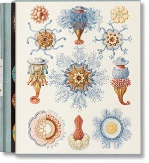 ART AND SCIENCE OF ERNST HAECKEL, THE | 9783754406106 | VOSS, JULIA/WILLMANN, RAINER