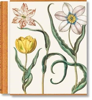 BASILIUS BESLER. THE GARDEN AT EICHSTÄTT | 9783836594332 | LITTGER, KLAUS WALTER/DRESSENDÖRFER, WERNER