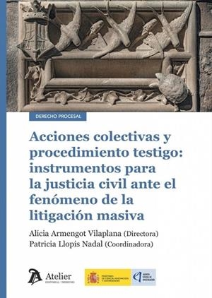 ACCIONES COLECTIVAS Y PROCEDIMIENTO TESTIGO | 9791388250507 | ARMENGOT VILAPLANA, ALICIA / LLOPIS, PATRICIA