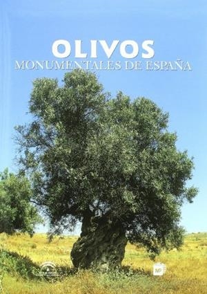 OLIVOS MONUMENTALES DE ESPAÑA | 9788484762157 | MUÑOZ, C.