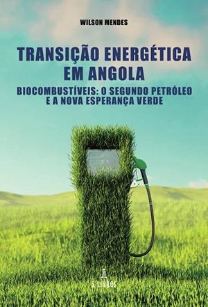 TRANSIÇÃO ENERGÉTICA EM ANGOLA | 9789895861699 | MENDES, WILSON