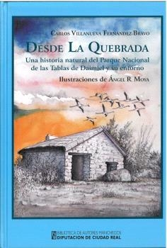 DESDE LA QUEBRADA | 9788477894261 | VILLANUEVA FERNÁNDEZ-BRAVO, CARLOS