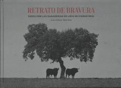 RETRATO DE BRAVURA | 9788409501328 | SÁNCHEZ GÓMEZ, JULIO CÉSAR