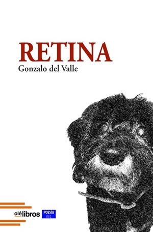RETINA | 9788419589545 | DEL VALLE SÁNCHEZ, GONZALO