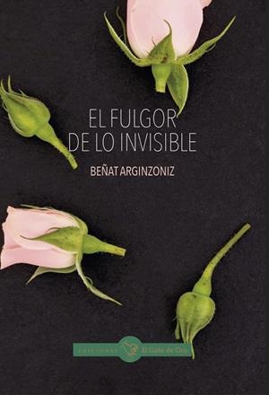 FULGOR DE LO INVISIBLE, EL | 9791399236743 | ARGINZONIZ, BEÑAT