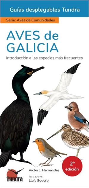 AVES DE GALICIA. INTRODUCCIÓN A LAS ESPECIES MÁS FRECUENTES | 9791387759339 | HERNANDEZ,  VICTOR J.