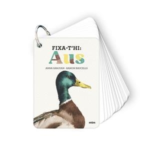 FIXA-T'HI : AUS | 9788410407640 | SANJUAN LLORENS, ANNA / BAUCELLS COLOMER, RAMON