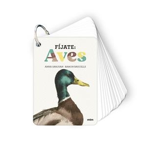 FIJATE : AVES | 9788410407633 | SANJUAN LLORENS, ANNA / BAUCELLS COLOMER, RAMON