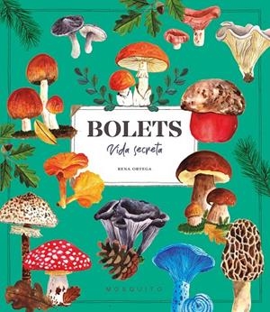 BOLETS VIDA SECRETA | 9788410417687 | ORTEGA, RENA