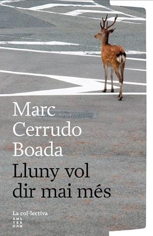 LLUNY VOL DIR MAI MES | 9791387800260 | CERRUDO BOADA, MARC